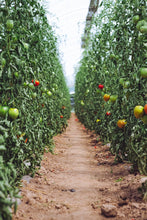 画像をギャラリービューアに読み込む, ハイパーカーボン EZ-B540 20リットル